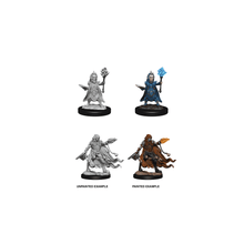 Evil Wizards: Pathfinder Deep Cuts Unpainted Miniatures (W2) - Beanie Games