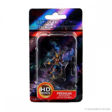 Female Tabaxi Rogue: D&D Icons of the Realms Premium Figures (W3) - Beanie Games