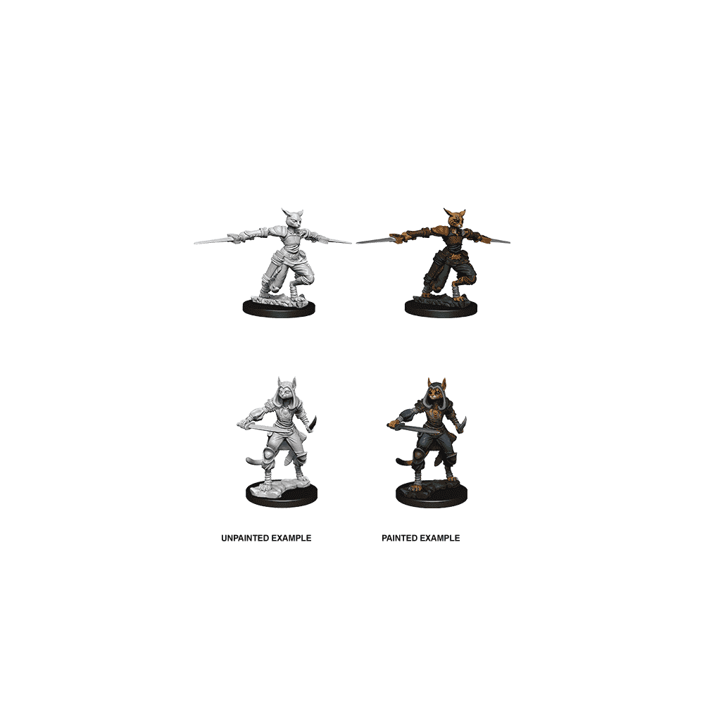 Female Tabaxi Rogue: D&D Nolzur's Marvelous Unpainted Miniatures (W9) - Beanie Games