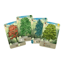 Forest Shuffle - Beanie Games