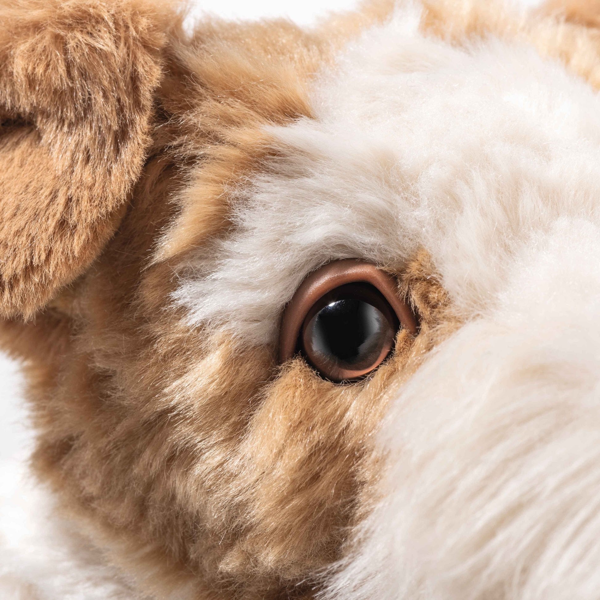 Foxy Fox Terrier - Beanie Games