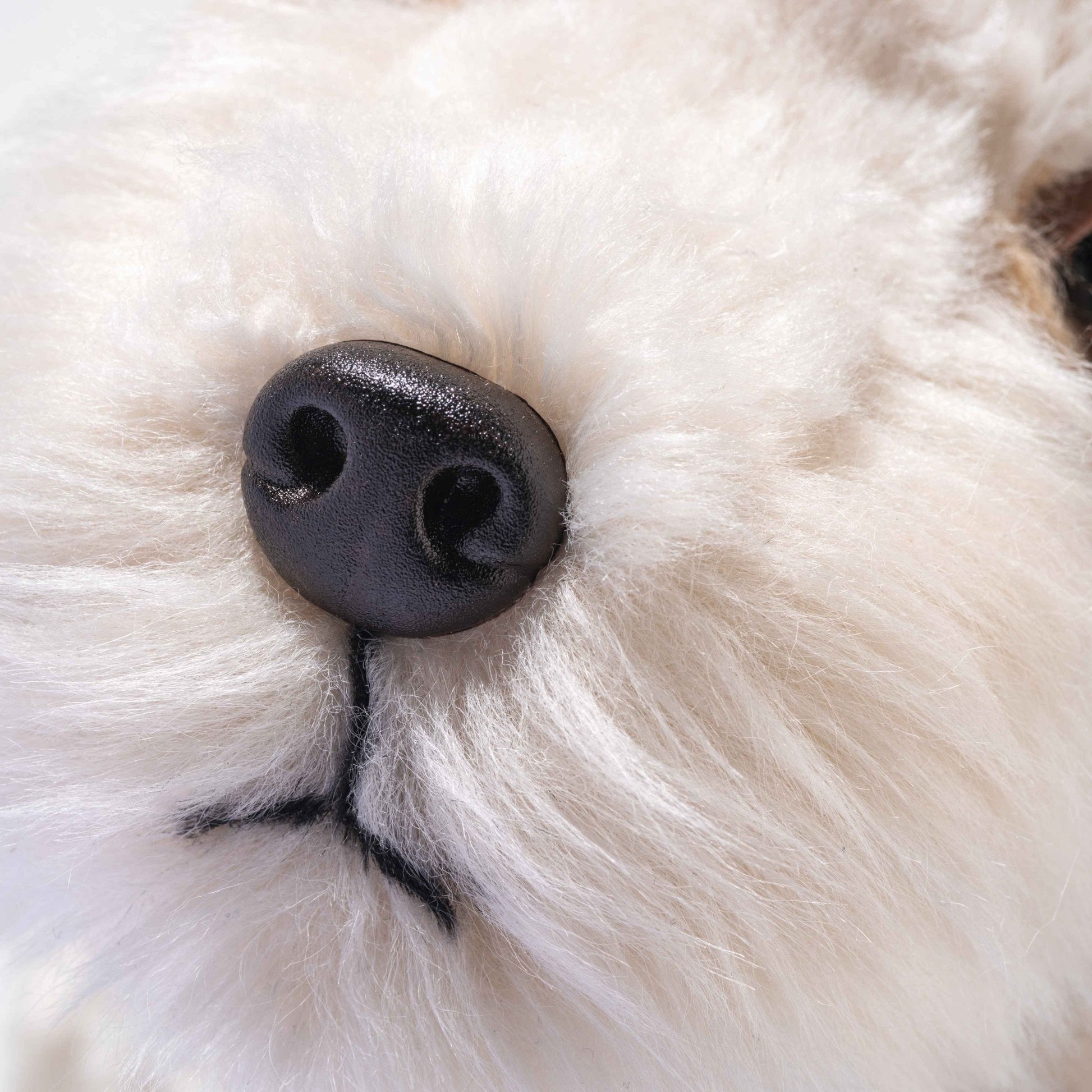 Foxy Fox Terrier - Beanie Games