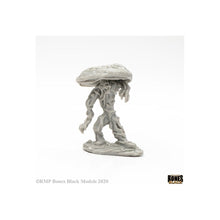 Fungal Guardian - Beanie Games