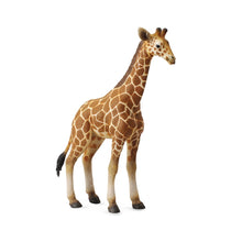 Giraffe Calf - Beanie Games