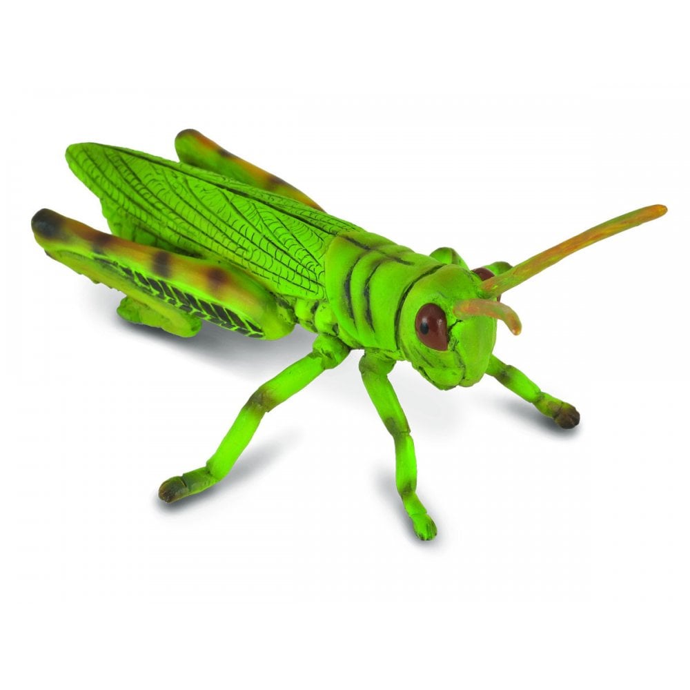 Grasshopper - Beanie Games