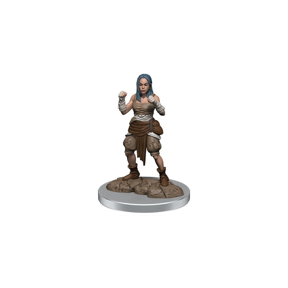 Half - Elf Monk Female: Pathfinder Deep Cuts Unpainted Miniatures (W21) - Beanie Games
