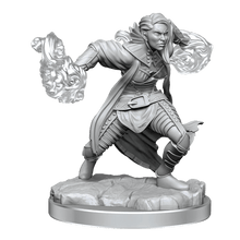 Half - Elf Warlock: D&D Nolzur's Marvellous Unpainted Miniatures - Beanie Games