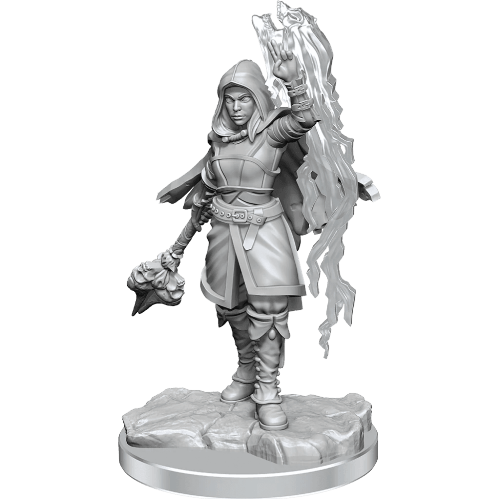Half - Elf Warlock: D&D Nolzur's Marvellous Unpainted Miniatures - Beanie Games