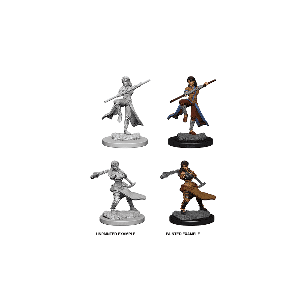 Human Female Monk: D&D Nolzur's Marvelous Unpainted Miniatures (W1) - Beanie Games