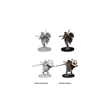 Human Female Paladin: Pathfinder Deep Cuts Unpainted Miniatures (W1) - Beanie Games