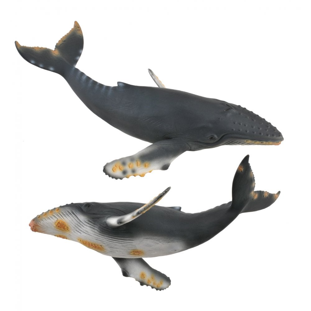 Humpback Whale - Beanie Games