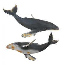 Humpback Whale - Beanie Games