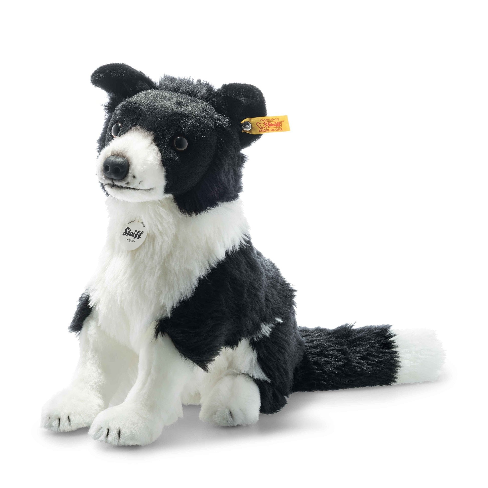 Jaycee Border Collie - Beanie Games