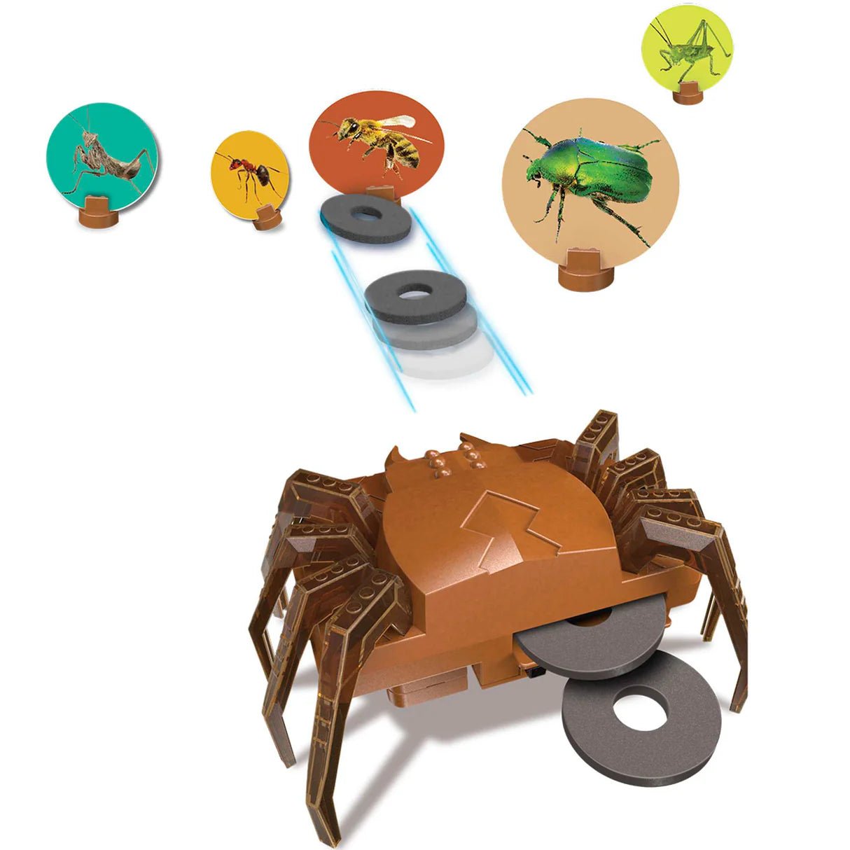 KidzRobotix - Disc Launcher SpiderBot - Beanie Games