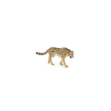 King Cheetah - Beanie Games