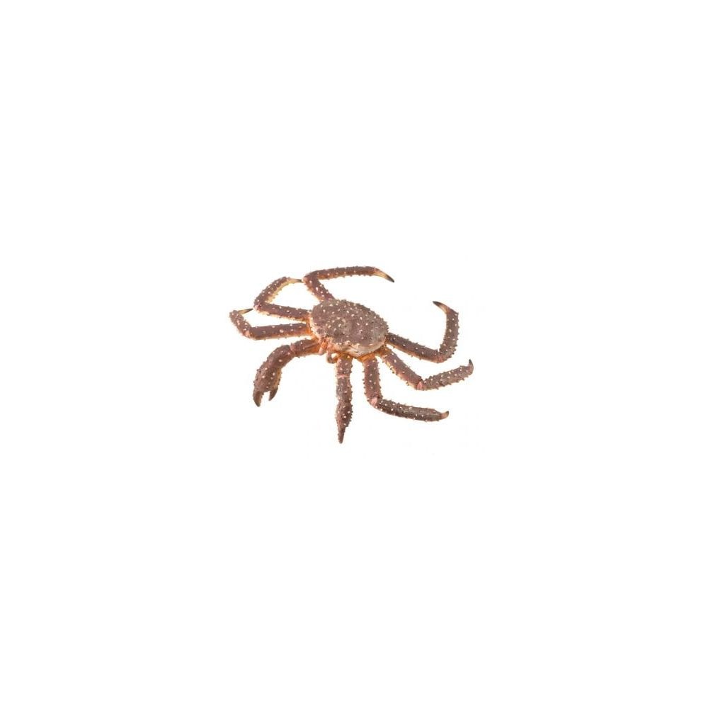 King Crab - Beanie Games