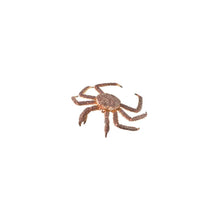 King Crab - Beanie Games