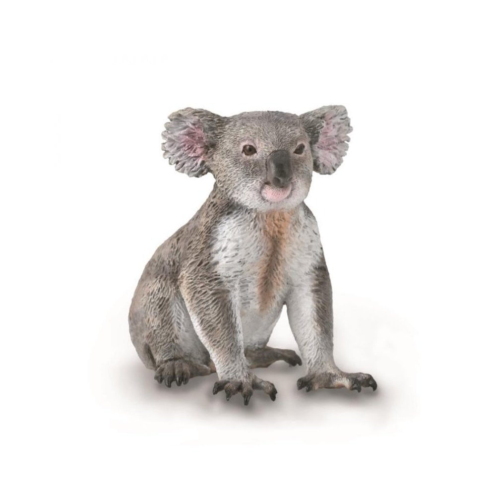 Koala - Beanie Games