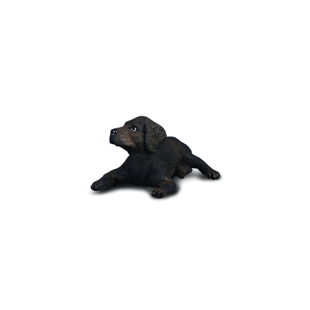 Labrador Retriever Puppy - Beanie Games