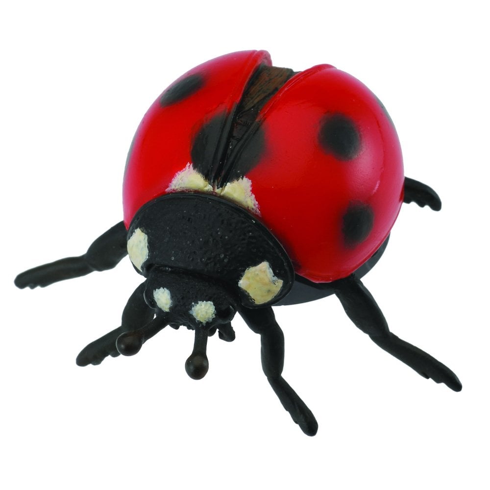 Ladybird - Beanie Games