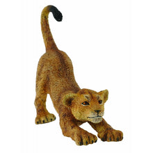 Lion Cub (Stretching) - Beanie Games