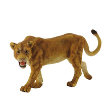 Lioness - Beanie Games