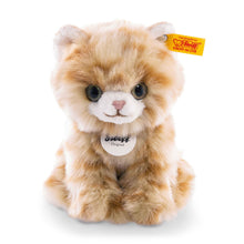 Lizzy kitten - Beanie Games