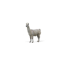 Llama - Beanie Games