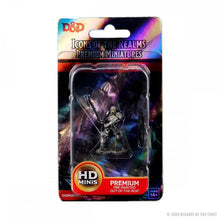 Male Human Fighter: D&D Icons of the Realms Premium Figures (W3) - Beanie Games