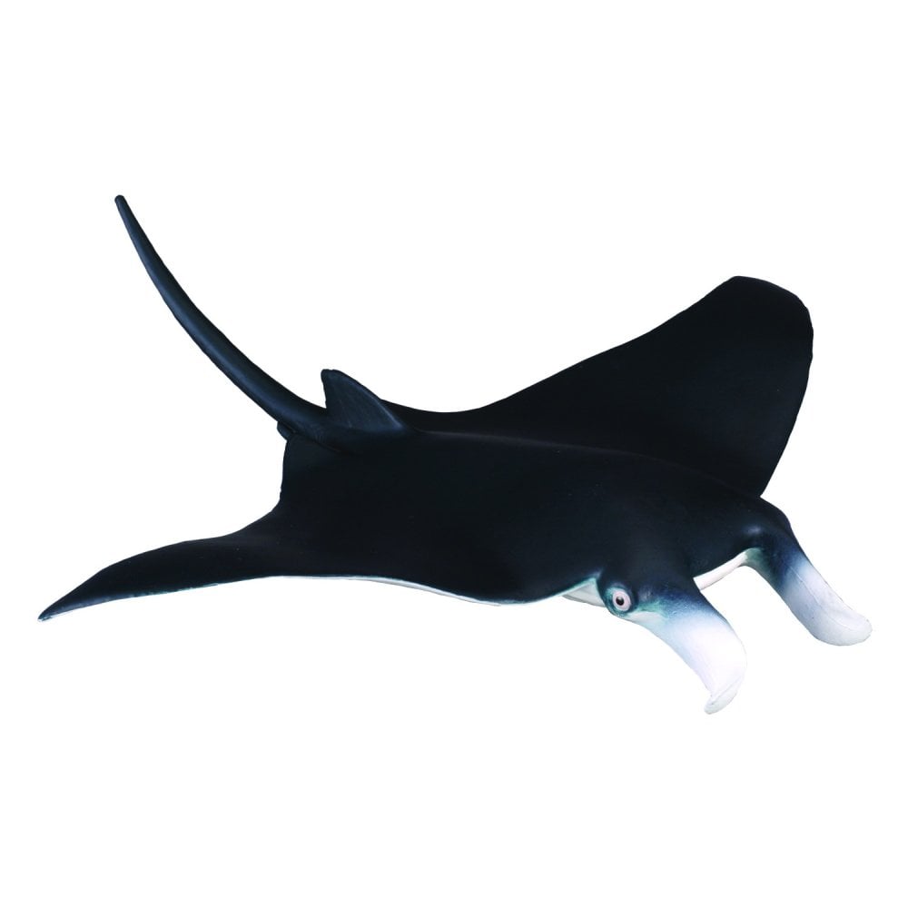 Manta Ray - Beanie Games