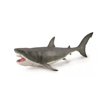 Megalodon with Movable Jaw - 1: 40 Scale - Beanie Games