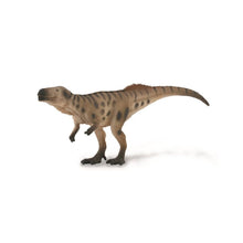 Megalosaurus - In Ambush - Beanie Games