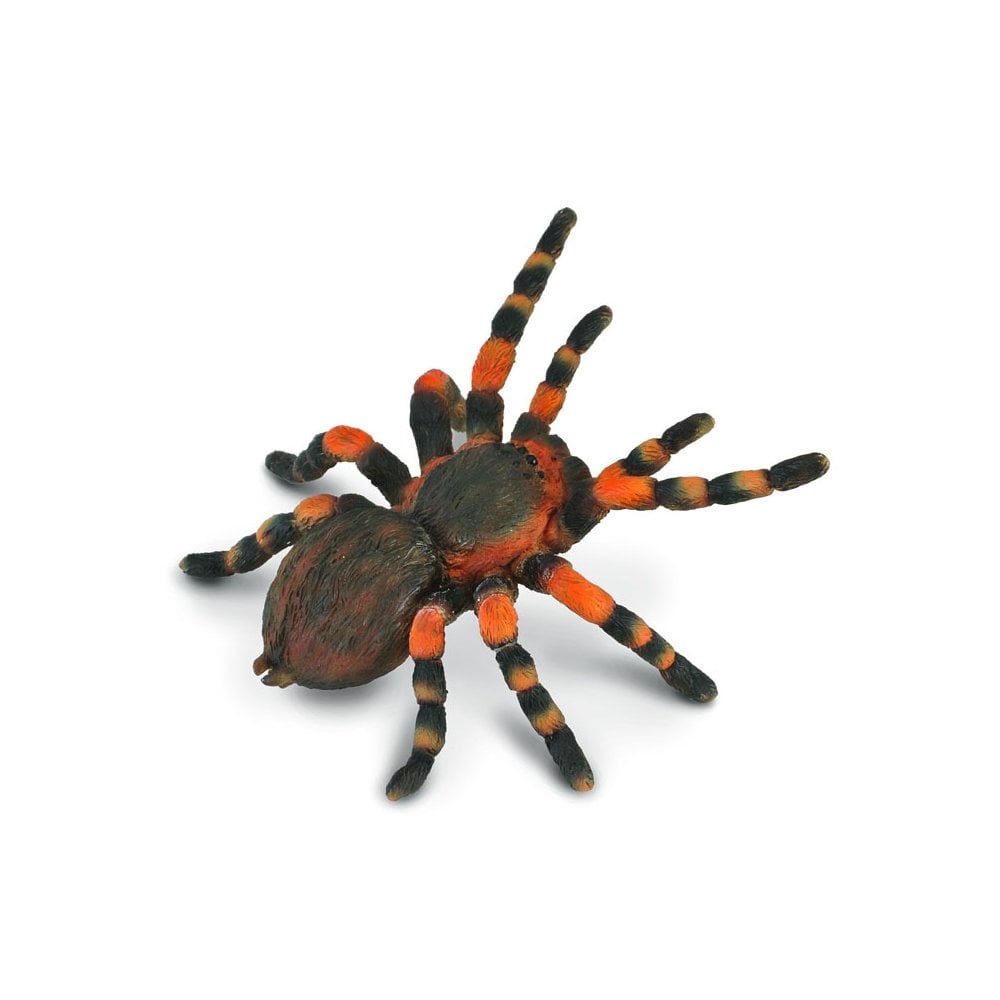 Mexican Redknee Tarantula - Beanie Games