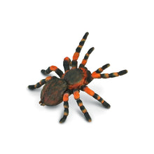 Mexican Redknee Tarantula - Beanie Games