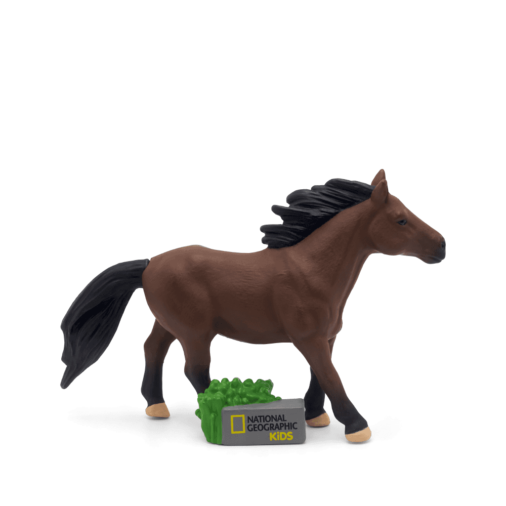 National Geographic - Horses - Beanie Games