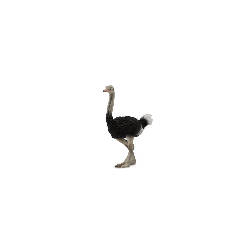 Ostrich - Beanie Games