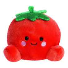 Palm Pals Boyd Tomato 5" - Beanie Games
