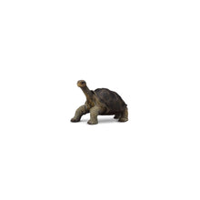 Pinta Island Tortoise (In memory of Lonesome George) - Beanie Games