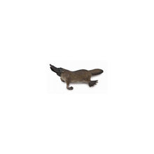 Platypus - Beanie Games