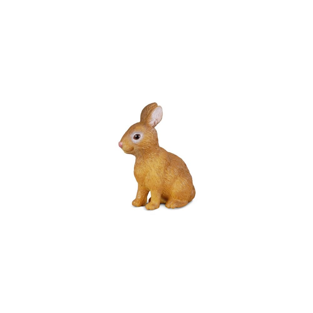 Rabbit - Beanie Games