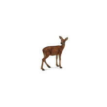 Red Deer Hind - Beanie Games