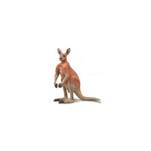 Red Kangaroo - Male - Beanie Games