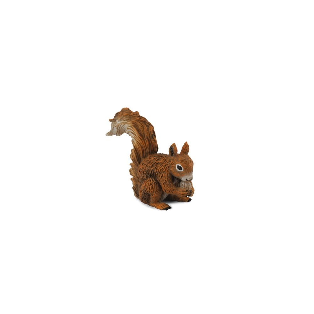 Red Squirrel - Eating - Beanie Games