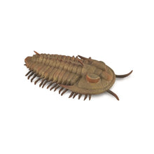 Redlichia Rex Trilobite - Beanie Games