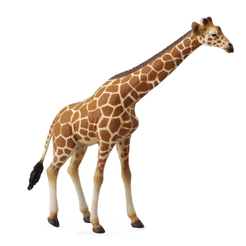Reticulated Giraffe - Beanie Games