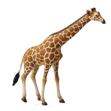 Reticulated Giraffe - Beanie Games