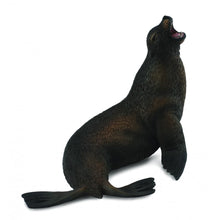 Sea Lion - Beanie Games