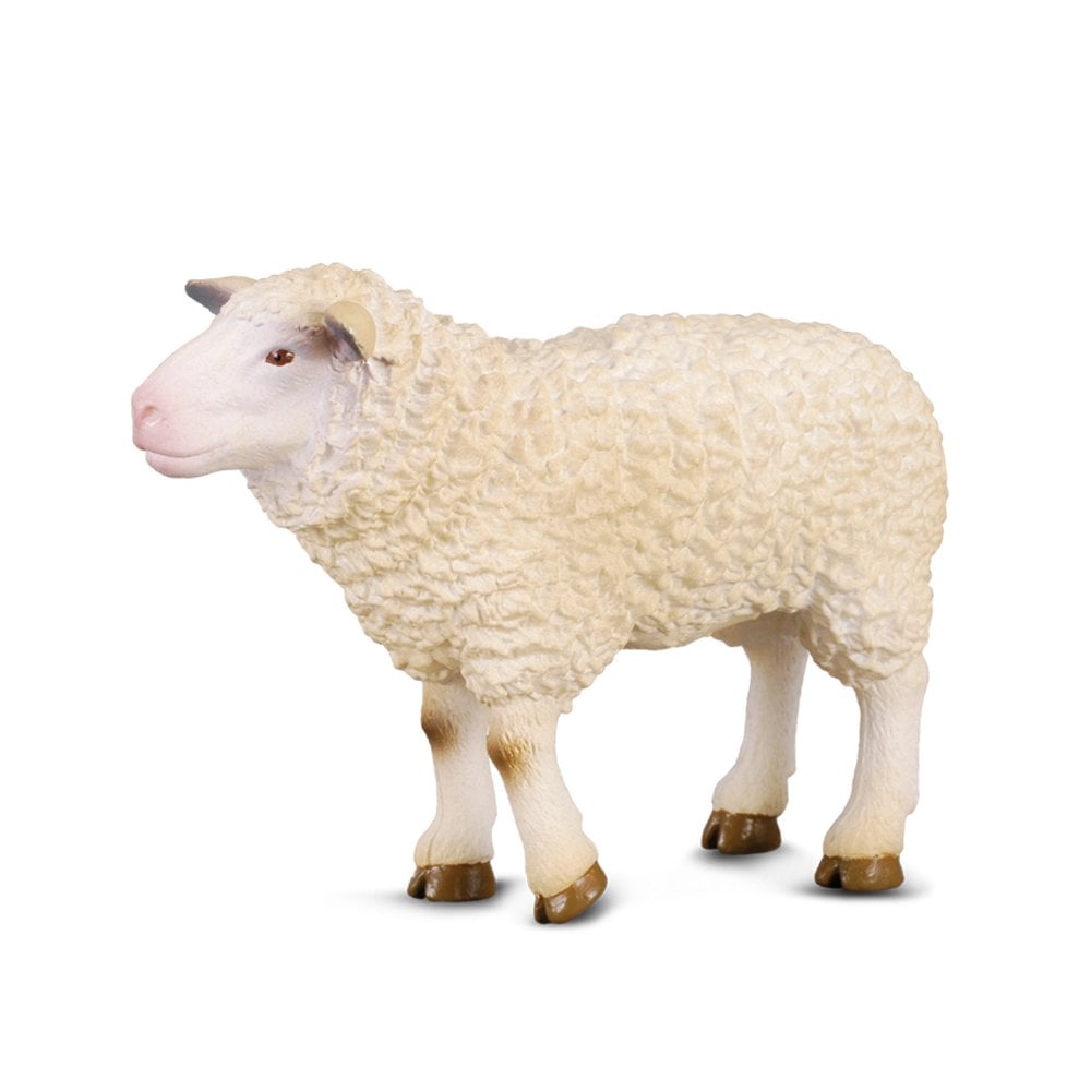 Sheep - Beanie Games