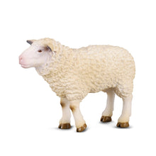 Sheep - Beanie Games