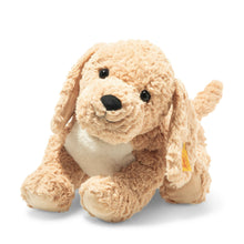 Soft Cuddly Friends Berno Goldendoodle 36cm - Beanie Games